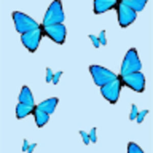 Meet your Posher, Jay